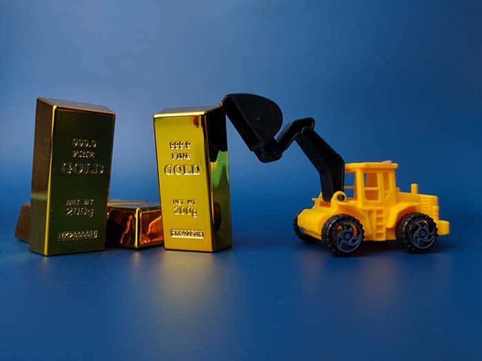 Endlich entspannt Gassi gehen: Mit Sonee Dosoruths Expertentipps Leinenaggression in den Griff bekommen