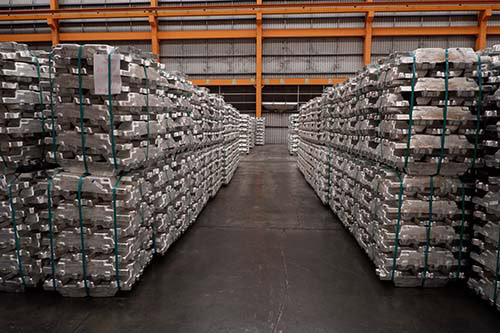 Endlich entspannt Gassi gehen: Mit Sonee Dosoruths Expertentipps Leinenaggression in den Griff bekommen